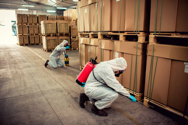 Best Affordable Pest Control Services  in Richmond, CA