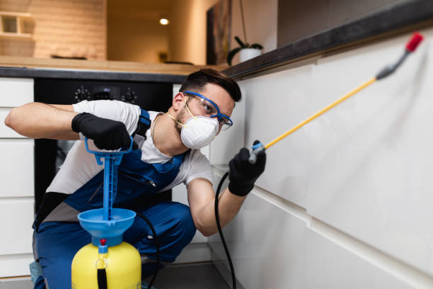 Best Wasp Removal Services  in Richmond, CA