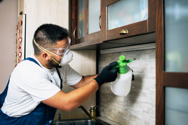 Best Commercial Pest Control Services  in Richmond, CA