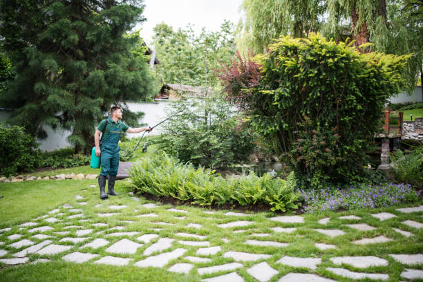 Best Termite Control Services  in Richmond, CA