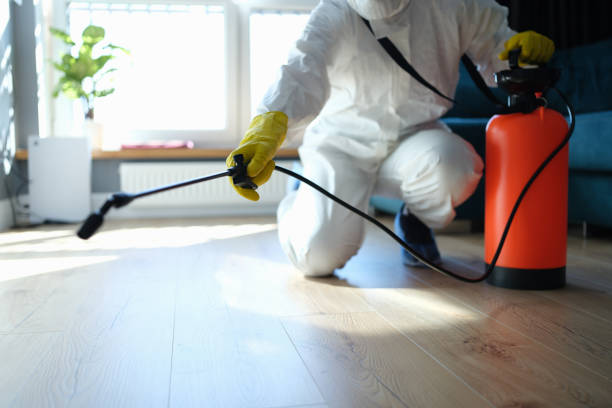 Professional Pest Control in Richmond, CA