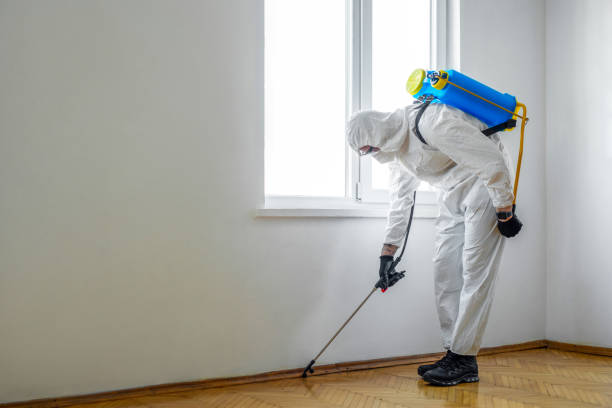 Best Pest Control for Businesses  in Richmond, CA