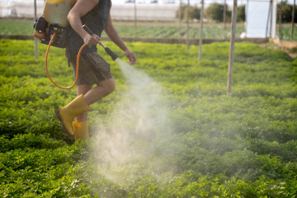 Best Pest Control Near Me in Richmond, CA