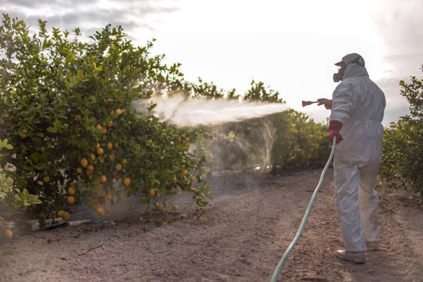 Best Wildlife Control Services  in Richmond, CA