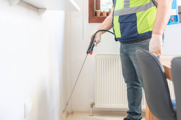 Flea Control Services in Richmond, CA