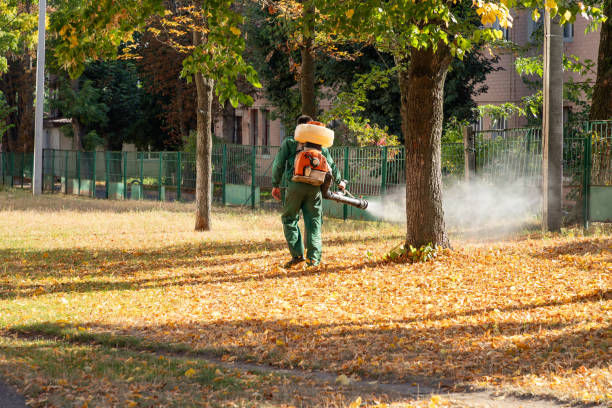 Best Mosquito Control Services  in Richmond, CA