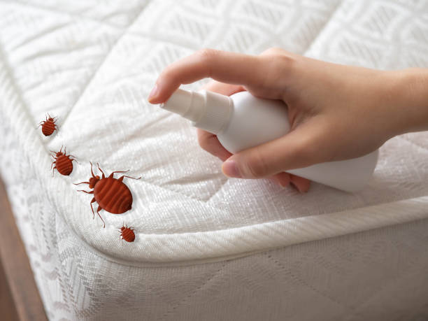  Richmond, CA Pest Control Pros